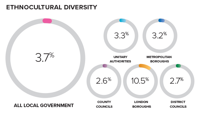ethnocultural diversity stats breakdown